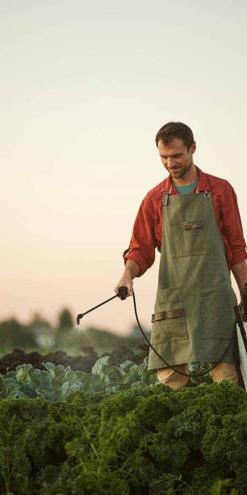 Vertical portrait of male worker watering crops and vegetables while standing at plantation, copy space